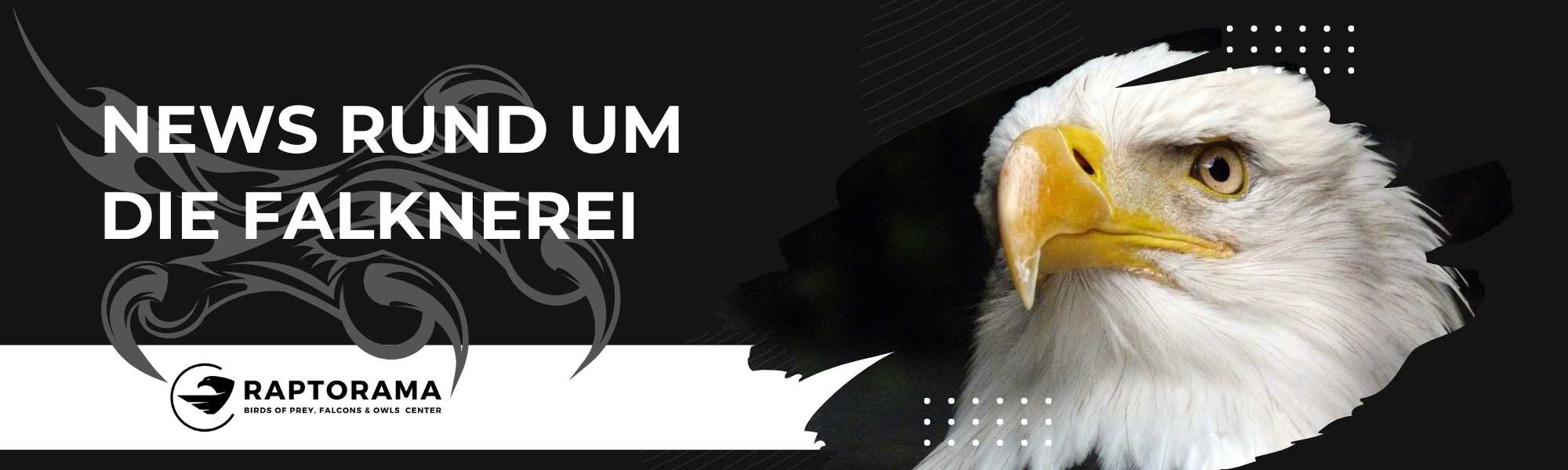 Falknerei Magazin, News, Informationen und Tipps rund um die Falknerei