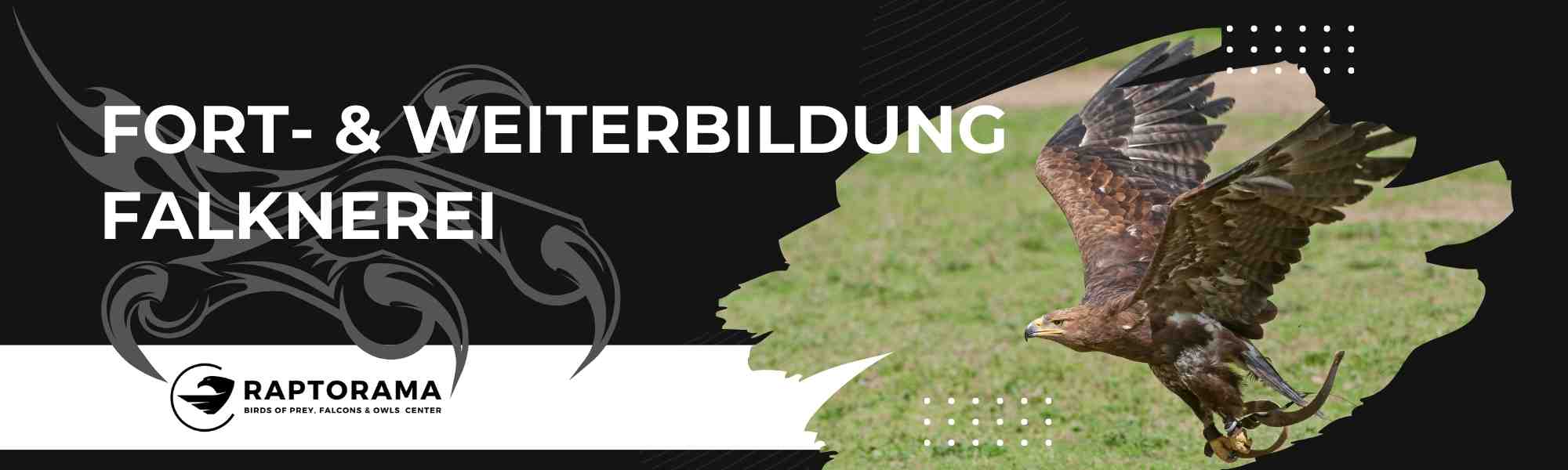 Fort- und Weiterbildung Falkner