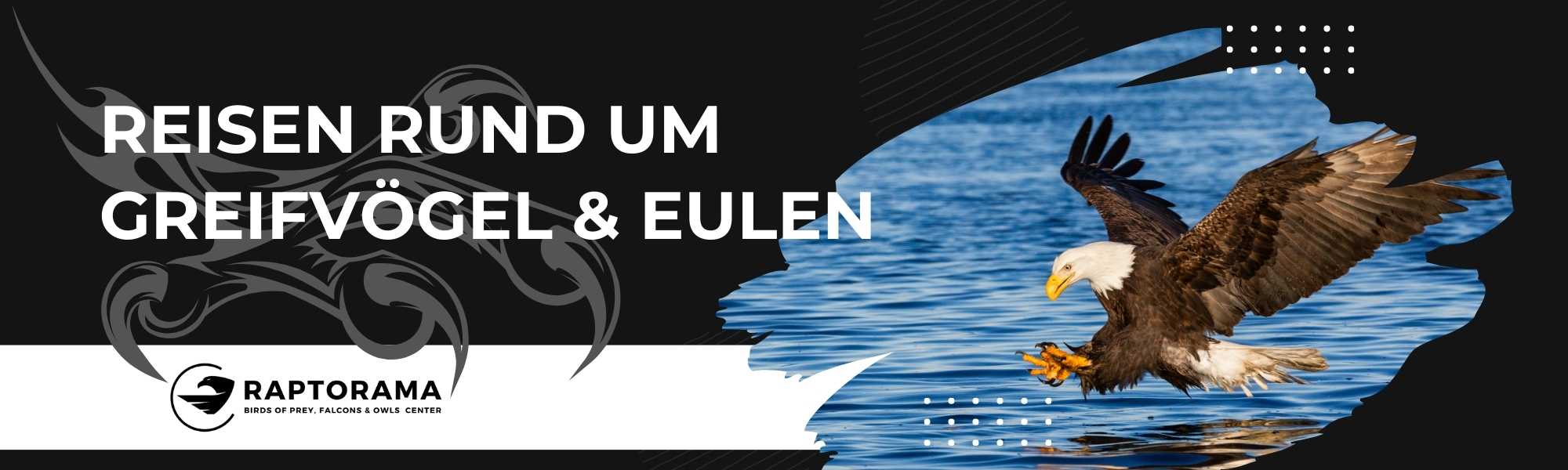 Reisen Greifvögel Eulen