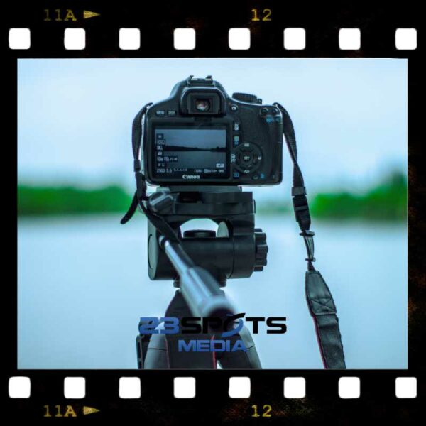 Vogelvideografie Fundamentals Kurs – Bild 2